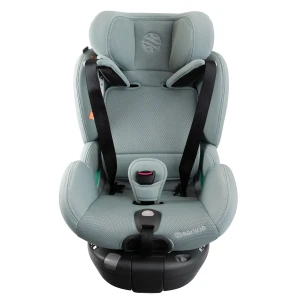 aurora_mint_low_res (1).webp