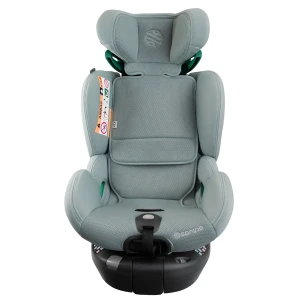 aurora_mint_low_res (2).webp