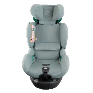 aurora_mint_low_res (3).webp