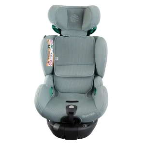 aurora_mint_low_res (4).webp