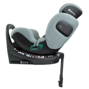 aurora_mint_low_res (11).webp