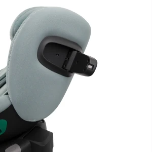 aurora_mint_low_res (17).webp