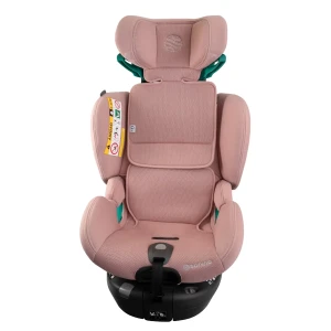 aurora_pink_low-res (15).webp