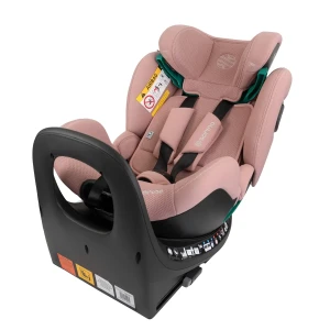 aurora_pink_low-res (17).webp