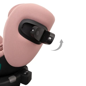 aurora_pink_low-res (18).webp