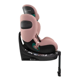 aurora_pink_low-res (5).webp