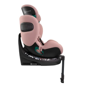 aurora_pink_low-res (6).webp