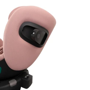 aurora_pink_low-res (9).webp