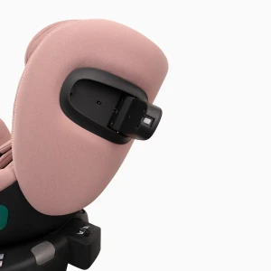 aurora_pink_low-res (10).webp