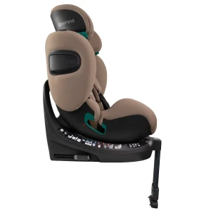 aurora_mocha_low_res (5).webp